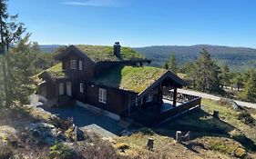 Cozy cabin at Kyrkjebygdheia